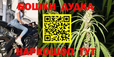 МДПВ Славгород