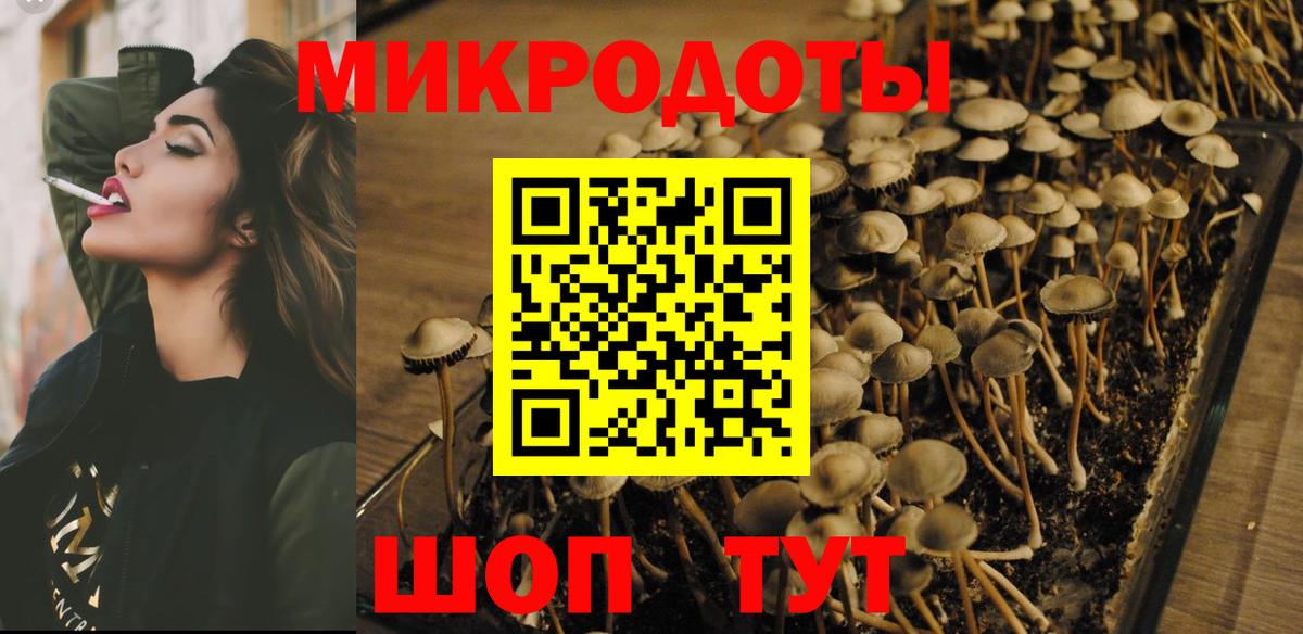 Галлюциногенные грибы Psilocybe  Вход с VPN  Галлюциногенные грибы прущие грибы  Топки 