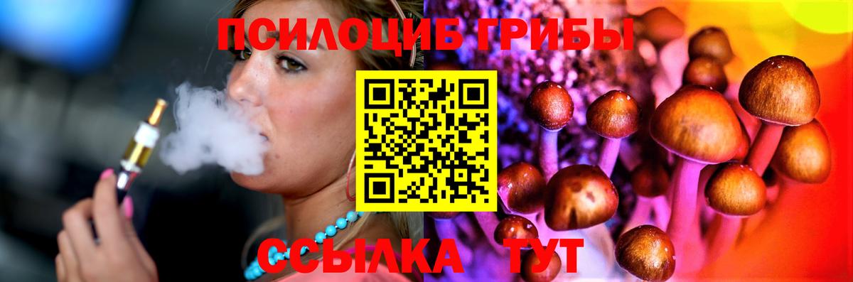 Галлюциногенные грибы GOLDEN TEACHER Топки